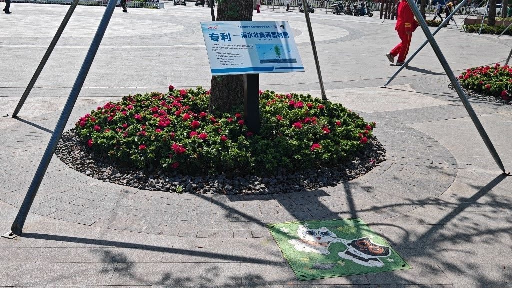 廣安“雨水收集調(diào)蓄樹池”，已在市內(nèi)公園落地運用。受訪者供圖