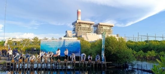 5月18日，中印尼嘉賓在爪哇7號(hào)燃煤電站舉行紅樹林補(bǔ)植儀式。記者 曹凱 攝