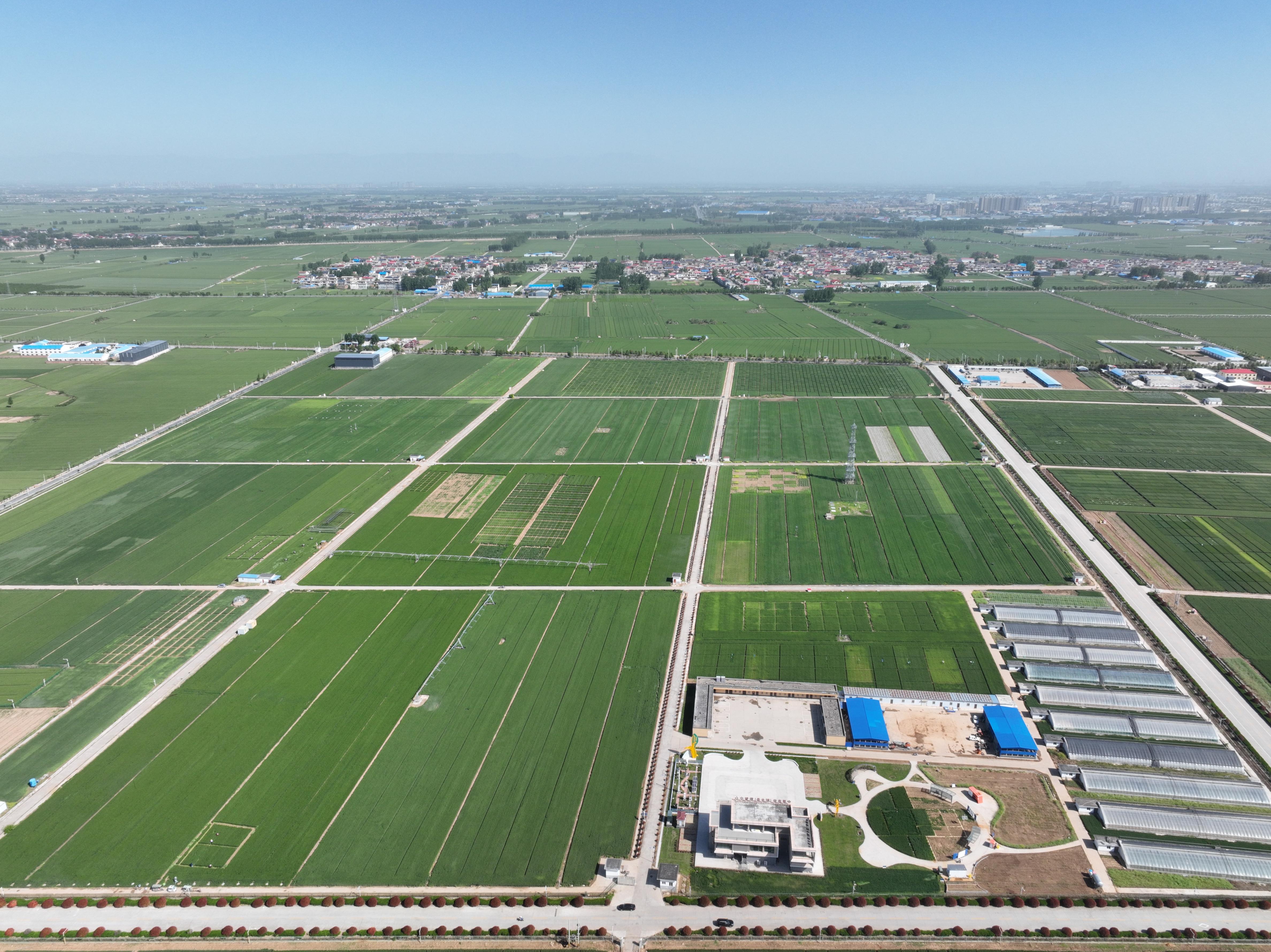 俯瞰水利部灌溉試驗(yàn)總站試驗(yàn)研究基地。受訪者供圖