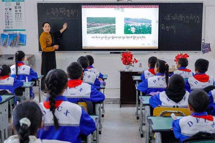 2024年9月27日，在四川省甘孜藏族自治州道孚縣城關(guān)第一完全小學(xué)，采取“藏加模式”教學(xué)的五年級(jí)一班的藏語(yǔ)文課上，準(zhǔn)木周老師指導(dǎo)藏族學(xué)生以家鄉(xiāng)草原風(fēng)物為主題寫(xiě)作藏語(yǔ)文作文。新華社記者 沈伯韓 攝