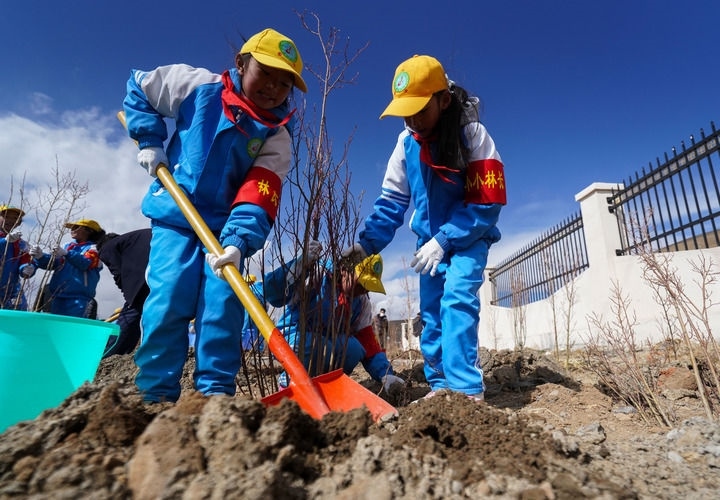 2025年4月25日，西藏那曲市小學(xué)生在植樹(shù)。新華社記者 晉美多吉 攝